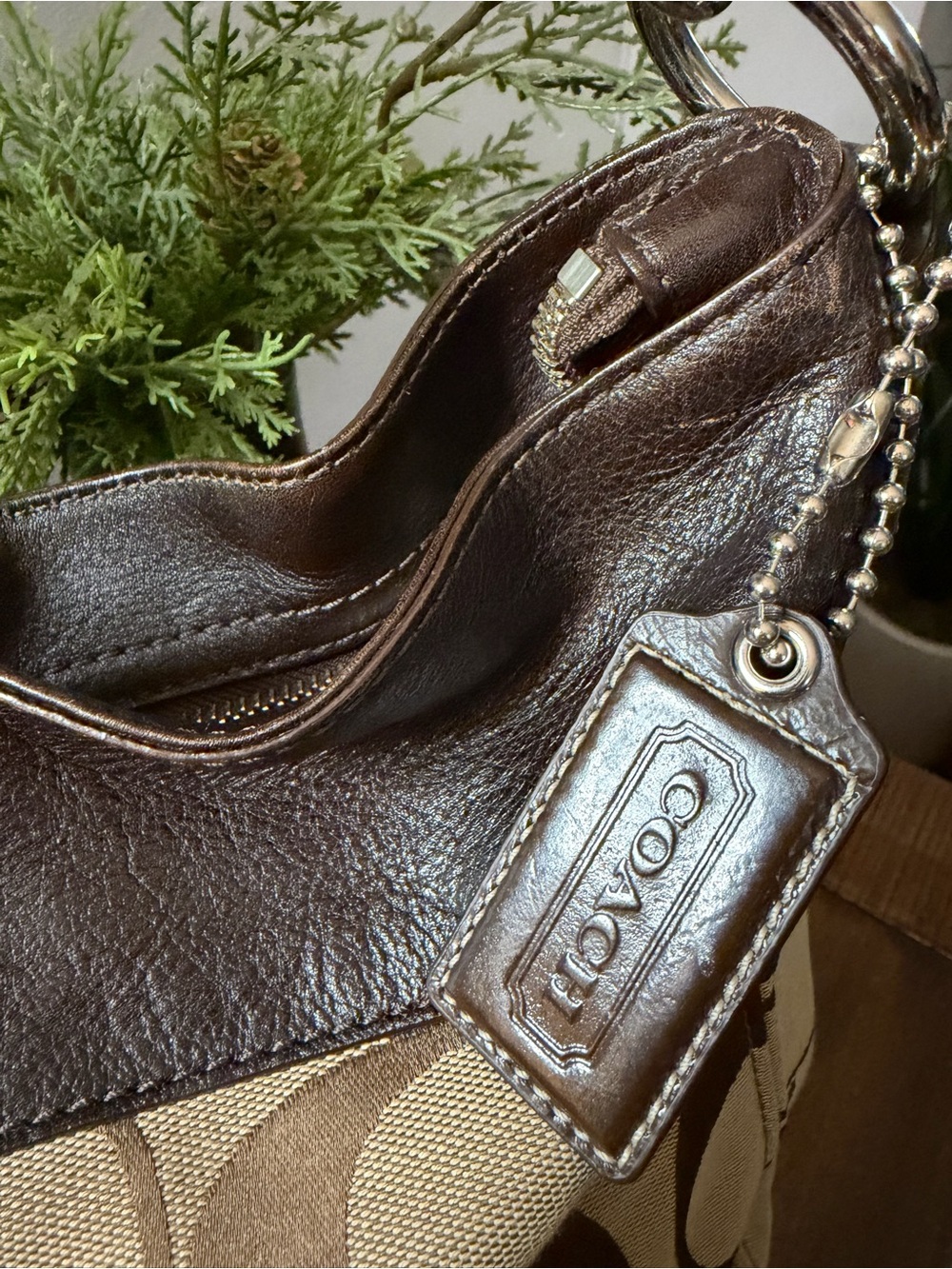 Coach Signature C Zoe Bag - Picture 7 of 16